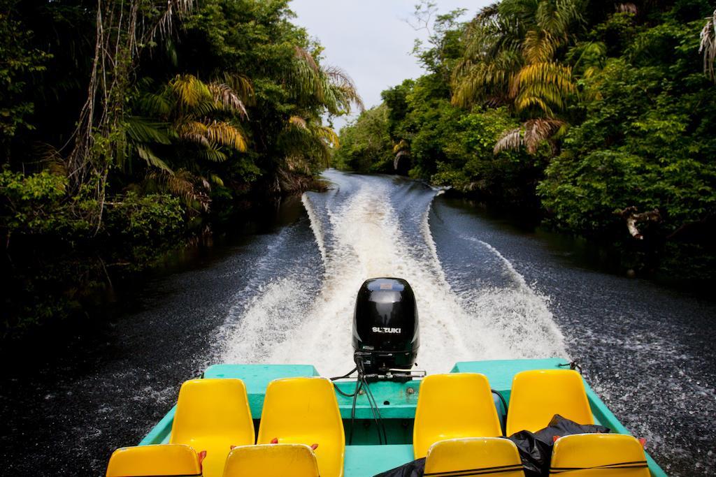 Turtle Beach Lodge Tortuguero Exterior photo