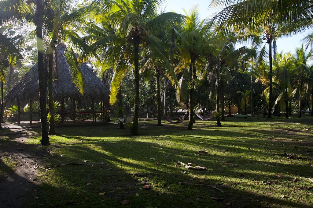 Turtle Beach Lodge Tortuguero Exterior photo